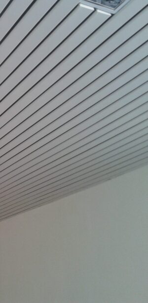 3 Linear Ceiling 1