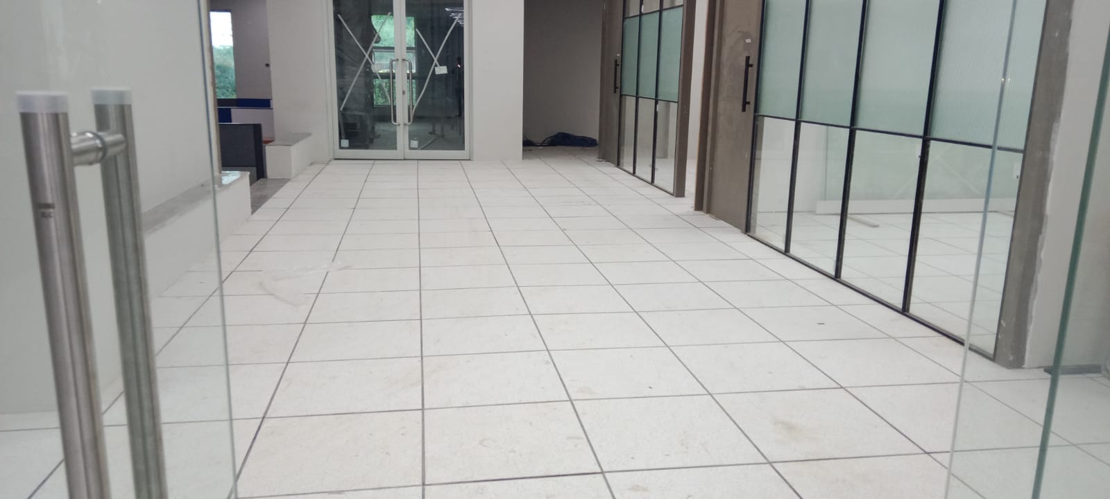 WhatsApp Image 2026-02-25 at 16.46.48