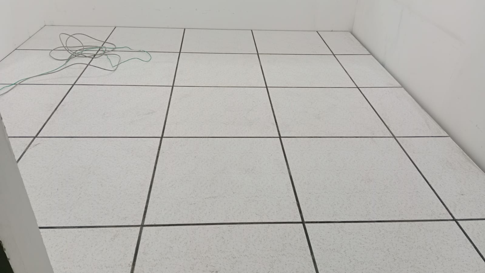 WhatsApp Image 2026-02-25 at 16.52.10